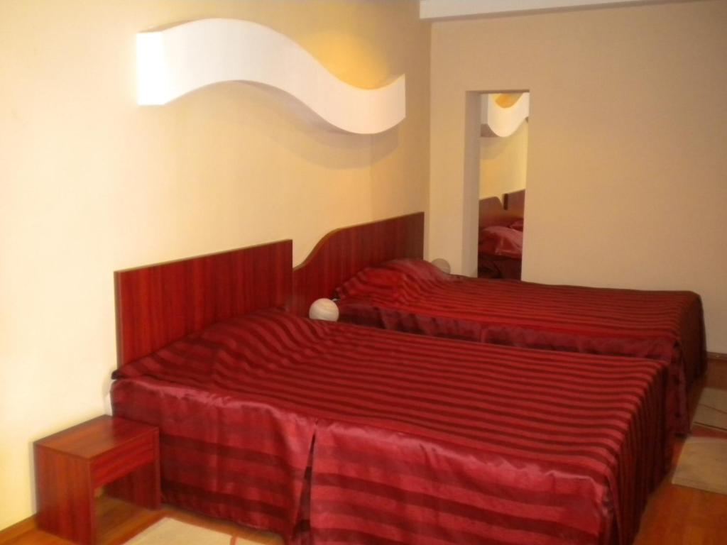 Hotel Ary Клуж-Напока Стая снимка