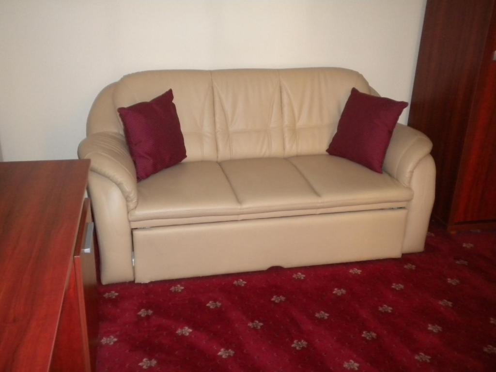 Hotel Ary Клуж-Напока Стая снимка